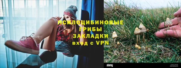 твердый Володарск