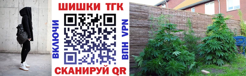 МАРИХУАНА OG Kush  Купить закладки  Ливны 